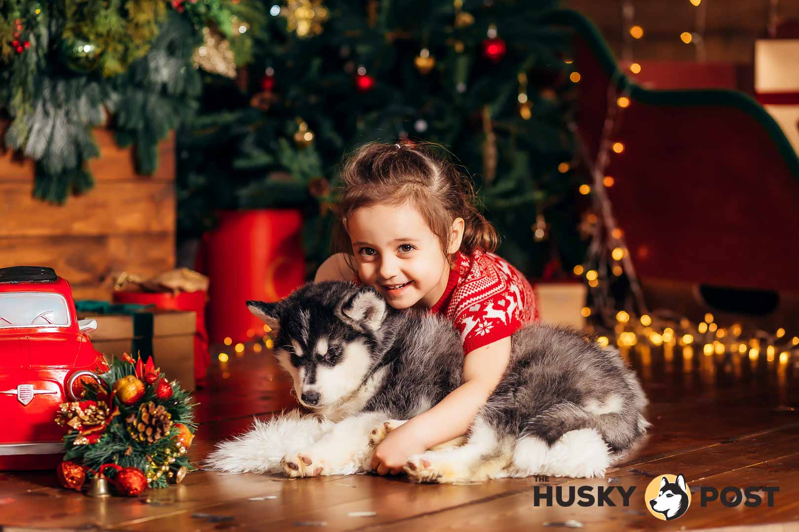 Husky with children on a Christmas