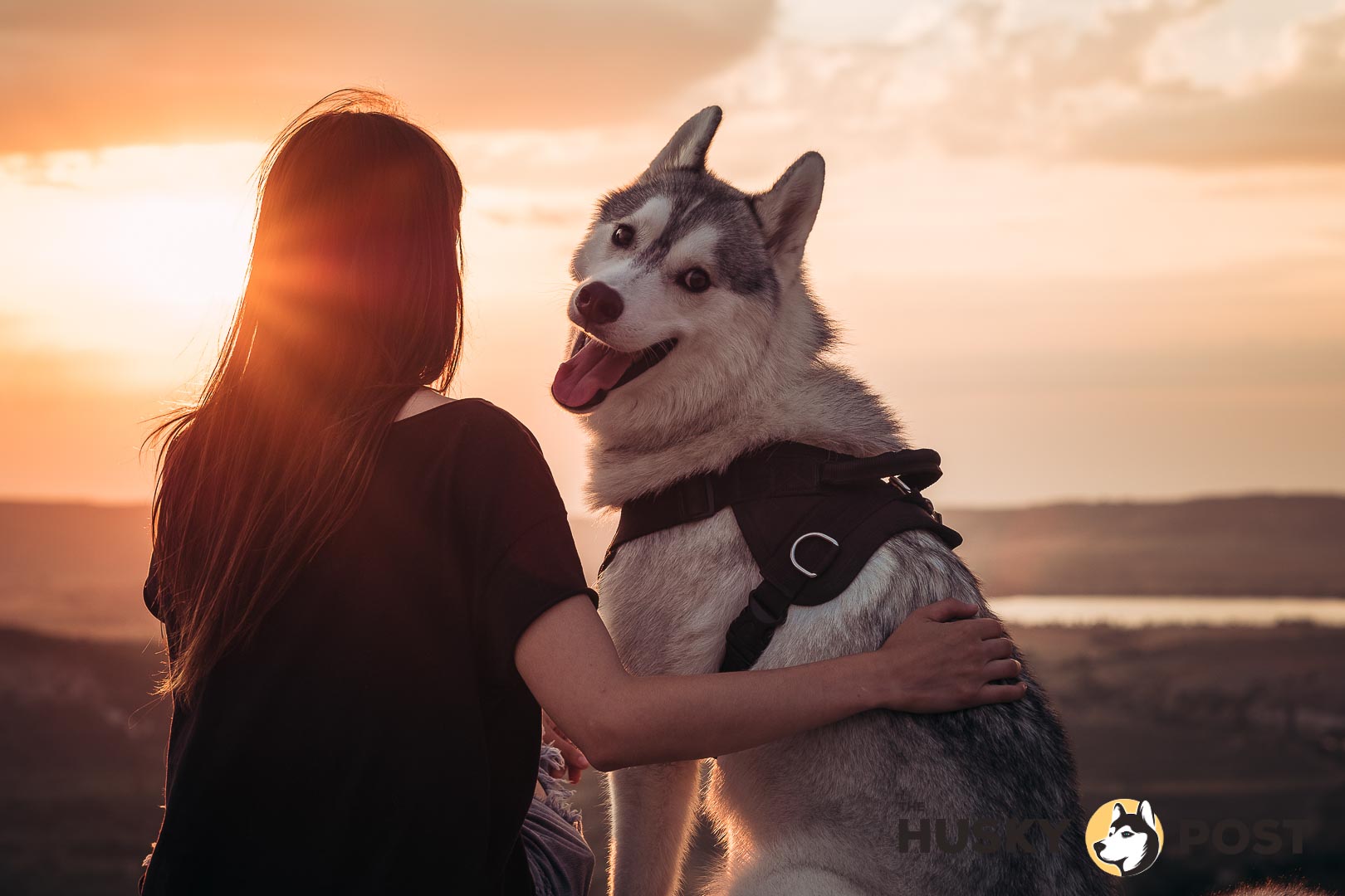 Beautiful girl plays with a dog - grey and white husky in the mountains at sunset