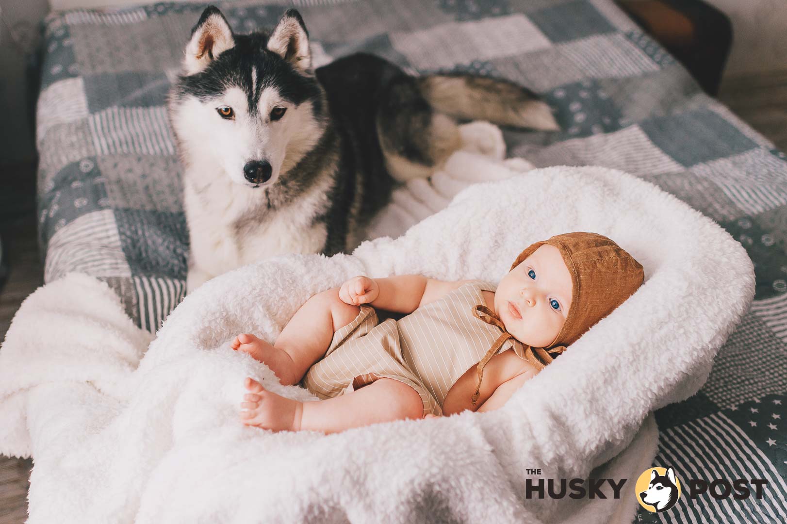 Husky and baby